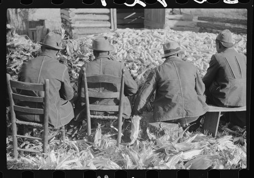 Untitled photo, possibly related to: Corn shucking on farm near the Fred Wilkins place, Granville County, North Carolina