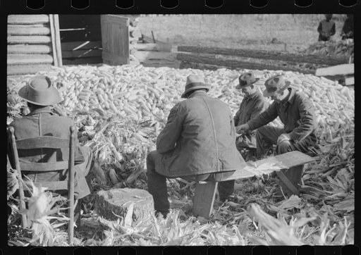 Untitled photo, possibly related to: Corn shucking on farm near the Fred Wilkins place, Granville County, North Carolina