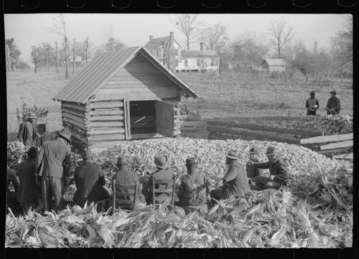 Corn shucking on Uncle Henry Garrett's place, Negro tenant of Mr. Fred Wilkins. White women don't go to Negro shucking to help with the cooking but whites are fed by Negro women just the same as at other shucking week previous at Mr. Fred Wilkins' home. Tally Ho, near Stem, Granville County, North C
