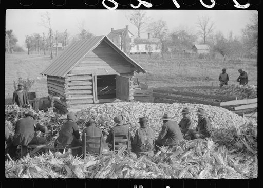 Untitled photo, possibly related to: Corn shucking on Uncle Henry Garrett's place, Negro tenant of Mr. Fred Wilkins. White women don't go to Negro shucking to help with the cooking but whites are fed by Negro women just the same as at other shucking week previous at Mr. Fred Wilkins' home. Tally Ho,