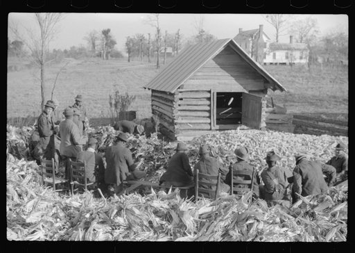Untitled photo, possibly related to: Corn shucking on Uncle Henry Garrett's place, Negro tenant of Mr. Fred Wilkins. White women don't go to Negro shucking to help with the cooking but whites are fed by Negro women just the same as at other shucking week previous at Mr. Fred Wilkins' home. Tally Ho,