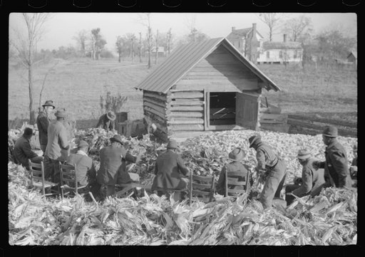 Untitled photo, possibly related to: Corn shucking on Uncle Henry Garrett's place, Negro tenant of Mr. Fred Wilkins. White women don't go to Negro shucking to help with the cooking but whites are fed by Negro women just the same as at other shucking week previous at Mr. Fred Wilkins' home. Tally Ho,