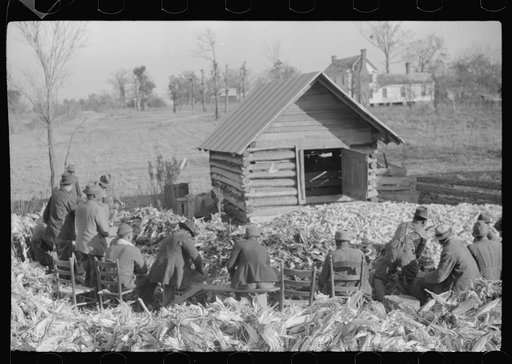 Untitled photo, possibly related to: Corn shucking on Uncle Henry Garrett's place, Negro tenant of Mr. Fred Wilkins. White women don't go to Negro shucking to help with the cooking but whites are fed by Negro women just the same as at other shucking week previous at Mr. Fred Wilkins' home. Tally Ho,
