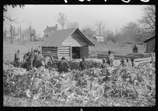 Untitled photo, possibly related to: Corn shucking on Uncle Henry Garrett's place, Negro tenant of Mr. Fred Wilkins. White women don't go to Negro shucking to help with the cooking but whites are fed by Negro women just the same as at other shucking week previous at Mr. Fred Wilkins' home. Tally Ho,