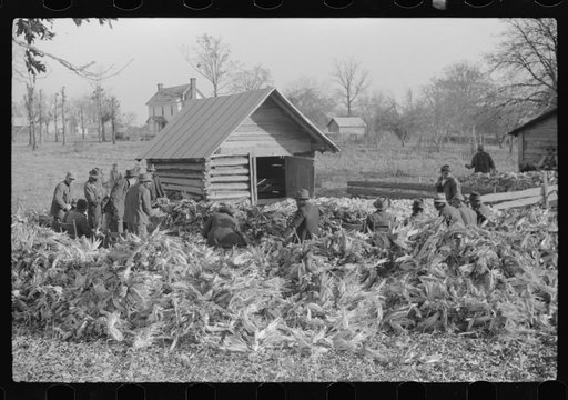 Untitled photo, possibly related to: Corn shucking on Uncle Henry Garrett's place, Negro tenant of Mr. Fred Wilkins. White women don't go to Negro shucking to help with the cooking but whites are fed by Negro women just the same as at other shucking week previous at Mr. Fred Wilkins' home. Tally Ho,