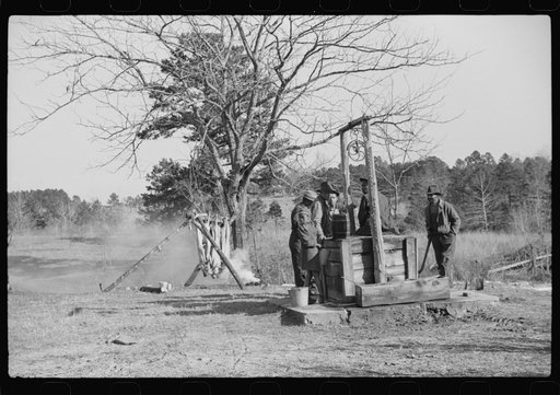 Untitled photo, possibly related to: Hog killing on Milton Puryeur place. He is a Negro owner of five acres of land. Rural Route No. 1, Box 59, Dennison, Halifax County, Virginia. This is six miles south (on Highway No. 501) of South Boston. He used to grow tobacco and cotton but now just a subsiste