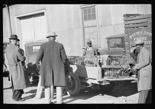 Untitled photo, possibly related to: Farmer selling Thanksgiving turkey to farmer outside warehouse where tobacco auction sales are being held. Durham, North Carolina