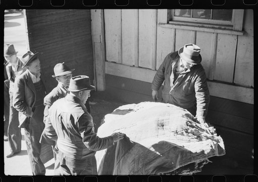 Untitled photo, possibly related to: Arranging tobacco in baskets before auction sale in warehouse. Mebane, North Carolina