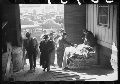 Arranging tobacco in baskets before auction sale in warehouse. Mebane, North Carolina