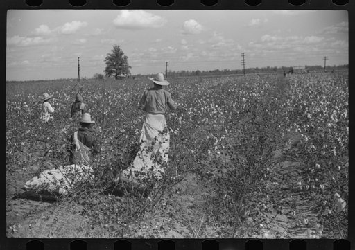 Untitled photo, possibly related to: Tents of Mexican labor brought from Texas by contractor for the duration of cotton picking season. Hopson Plantation near Clarksdale, Mississippi Delta, Mississippi