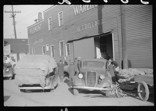 Cars loaded with tobacco going into warehouse to unload for auction sale. Mebane, North Carolina