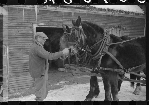 Untitled photo, possibly related to: Hired man and team, Putney Homesteads, near Woodstock, Vermont
