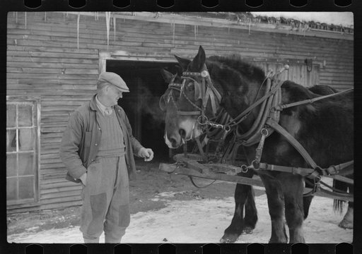 Untitled photo, possibly related to: Hired man and team, Putney Homesteads, near Woodstock, Vermont