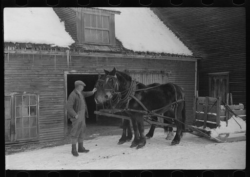 Hired man and team, Putney Homesteads, near Woodstock, Vermont
