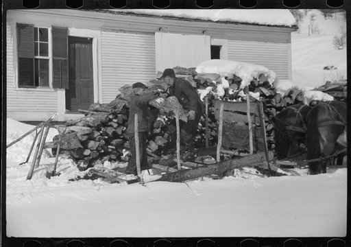 Untitled photo, possibly related to: Mr. Gilbert and hired man hauling wood for winter fuel. Woodstock, Vermont
