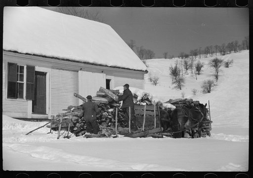 Mr. Gilbert and hired man hauling wood for winter fuel. Woodstock, Vermont