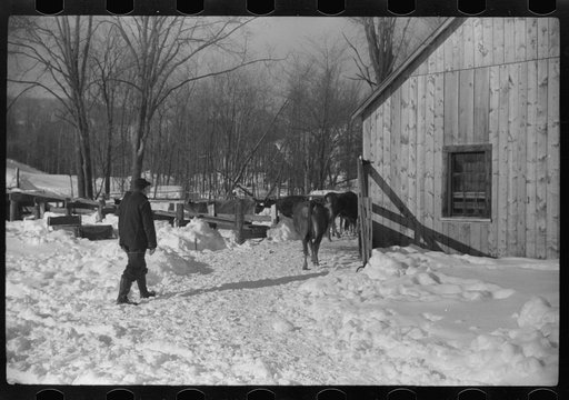 Untitled photo, possibly related to: Hired man on Gilbert farm, Woodstock, Vermont