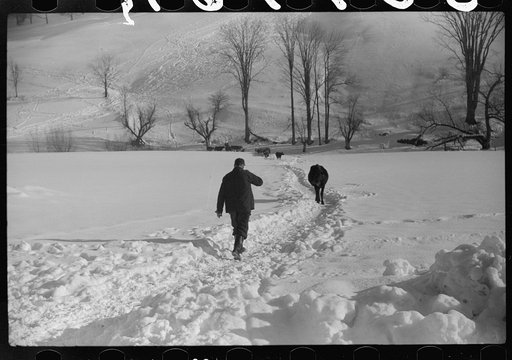Untitled photo, possibly related to: Hired man on Gilbert farm, Woodstock, Vermont