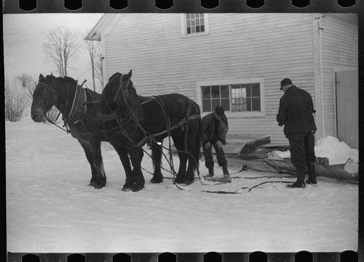 Untitled photo, possibly related to: Mr. Gilbert and hired man hauling wood for winter fuel. Woodstock, Vermont