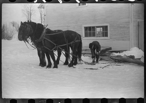Untitled photo, possibly related to: Mr. Gilbert and hired man hauling wood for winter fuel. Woodstock, Vermont