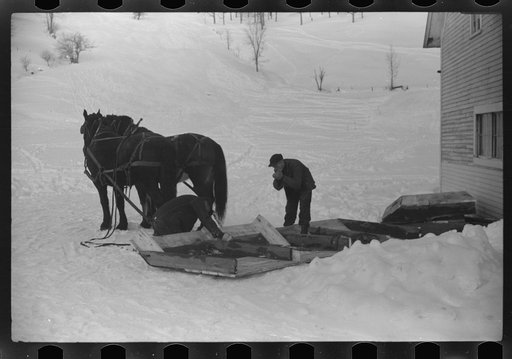 Untitled photo, possibly related to: Mr. Gilbert and hired man hauling wood for winter fuel. Woodstock, Vermont