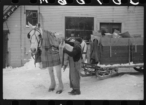 Woodstock, Vermont. Horse and sled of a garbage and rubbish collector
