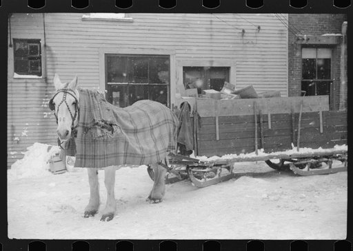 Untitled photo, possibly related to: Woodstock, Vermont. Horse and sled of a garbage and rubbish collector