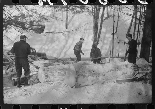 Untitled photo, possibly related to: Logs hauled by tractor to the road where they are picked up by truck and taken to the mill, near Barnard, Windsor County, Vermont
