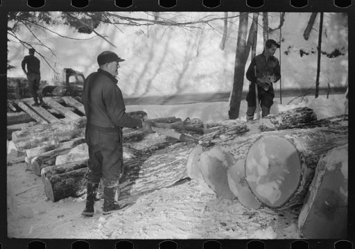 Logs hauled by tractor to the road where they are picked up by truck and taken to the mill, near Barnard, Windsor County, Vermont