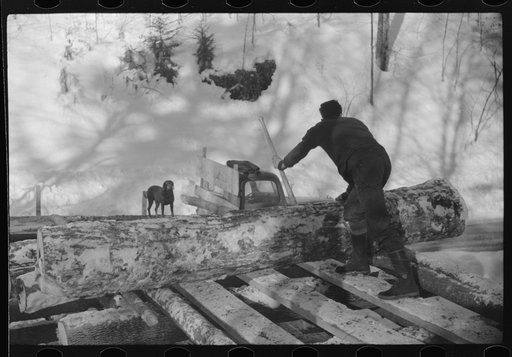 Untitled photo, possibly related to: Logs hauled by tractor to the road where they are picked up by truck and taken to the mill, near Barnard, Windsor County, Vermont