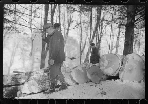 Untitled photo, possibly related to: Hauling timber by tractor to the road where it is taken by truck to the mill, near Barnard, Windsor County, Vermont