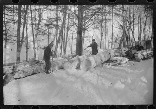 Untitled photo, possibly related to: Hauling timber by tractor to the road where it is taken by truck to the mill, near Barnard, Windsor County, Vermont