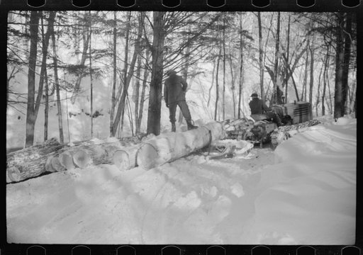 Hauling timber by tractor to the road where it is taken by truck to the mill, near Barnard, Windsor County, Vermont