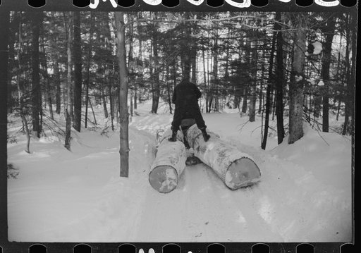 Untitled photo, possibly related to: Hauling timber by tractor to the road where it is taken by truck to the mill. Near Barnard, Windsor county, Vermont