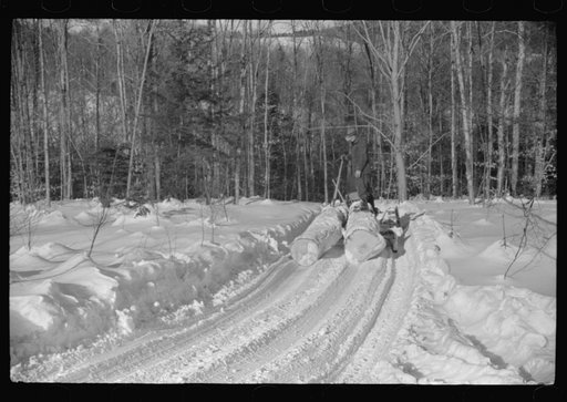 Untitled photo, possibly related to: Hauling timber by tractor to the road where it is taken by truck to the mill. Near Barnard, Windsor county, Vermont