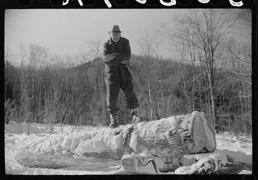 Untitled photo, possibly related to: Log being hauled by a tractor from woods to the road, where it will be loaded on a truck and taken to sawmill. Near Barnard, Vermont