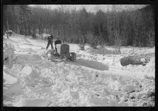 Untitled photo, possibly related to: Hauling timber by tractor to the road where it is taken by truck to the mill. Near Barnard, Windsor County, Vermont