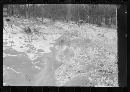 Untitled photo, possibly related to: Path leading to lumbermen's shack near Barnard, Windsor County, Vermont
