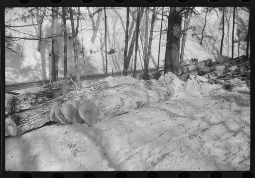 Untitled photo, possibly related to: Logs hauled by tractor to the road where they are picked up by truck and taken to the mill, near Barnard, Windsor County, Vermont