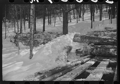 Logs hauled by tractor to the road where they are picked up by truck and taken to the mill. Near Barnard, Windsor County, Vermont