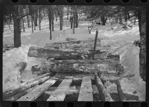 Untitled photo, possibly related to: Logs hauled by tractor to the road where they are picked up by truck and taken to the mill. Near Barnard, Windsor County, Vermont