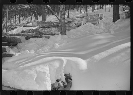 Untitled photo, possibly related to: Logs hauled by tractor to the road where they are picked up by truck and taken to the mill. Near Barnard, Windsor County, Vermont