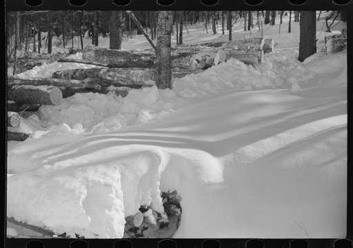 Untitled photo, possibly related to: Logs hauled by tractor to the road where they are picked up by truck and taken to the mill. Near Barnard, Windsor County, Vermont