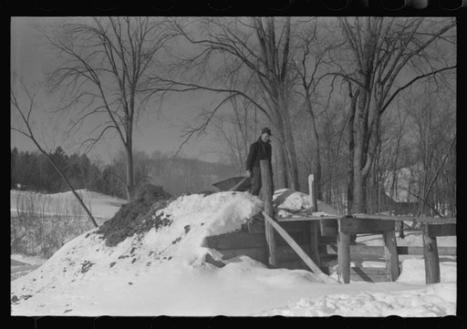 Untitled photo, possibly related to: Hired man on Gilbert farm emptying load of manure after cleaning out the dairy barn early on a winter morning. Woodstock, Vermont