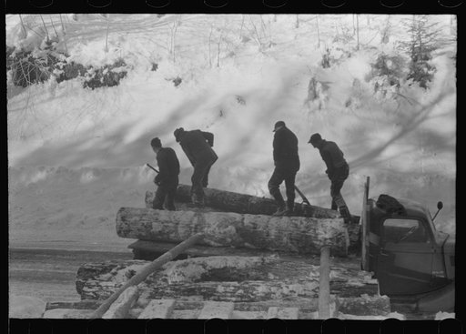 Untitled photo, possibly related to: Hauling timber by tractor to the road where it is taken by truck to the mill. Near Barnard, Windsor County, Vermont