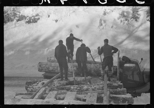 Untitled photo, possibly related to: Hauling timber by tractor to the road where it is taken by truck to the mill. Near Barnard, Windsor County, Vermont