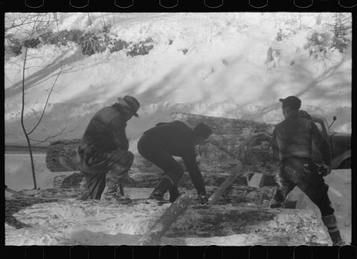 Untitled photo, possibly related to: Hauling timber by tractor to the road where it is taken by truck to the mill. Near Barnard, Windsor County, Vermont