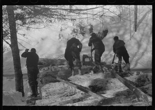 Hauling timber by tractor to the road where it is taken by truck to the mill. Near Barnard, Vermont