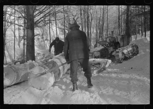 Untitled photo, possibly related to: Hauling timber by tractor to the road where it is taken by truck to the mill. Near Barnard, Vermont