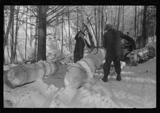 Hauling timber by tractor to the road where it is taken by truck to the mill. Near Barnard, Vermont
